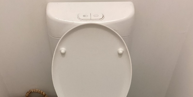Cistern of a dual flush toilet fixed to the wall. The top half of the toilet seat appears from the bottom of the picture.