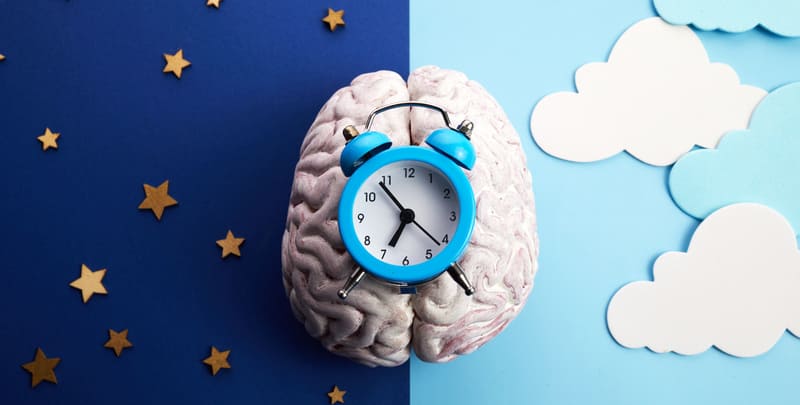 Alarm clock sitting on model of a human brain. Background is separated vertically into night and day. 