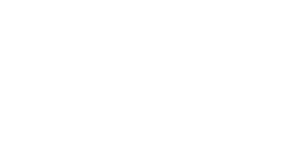 Brivis